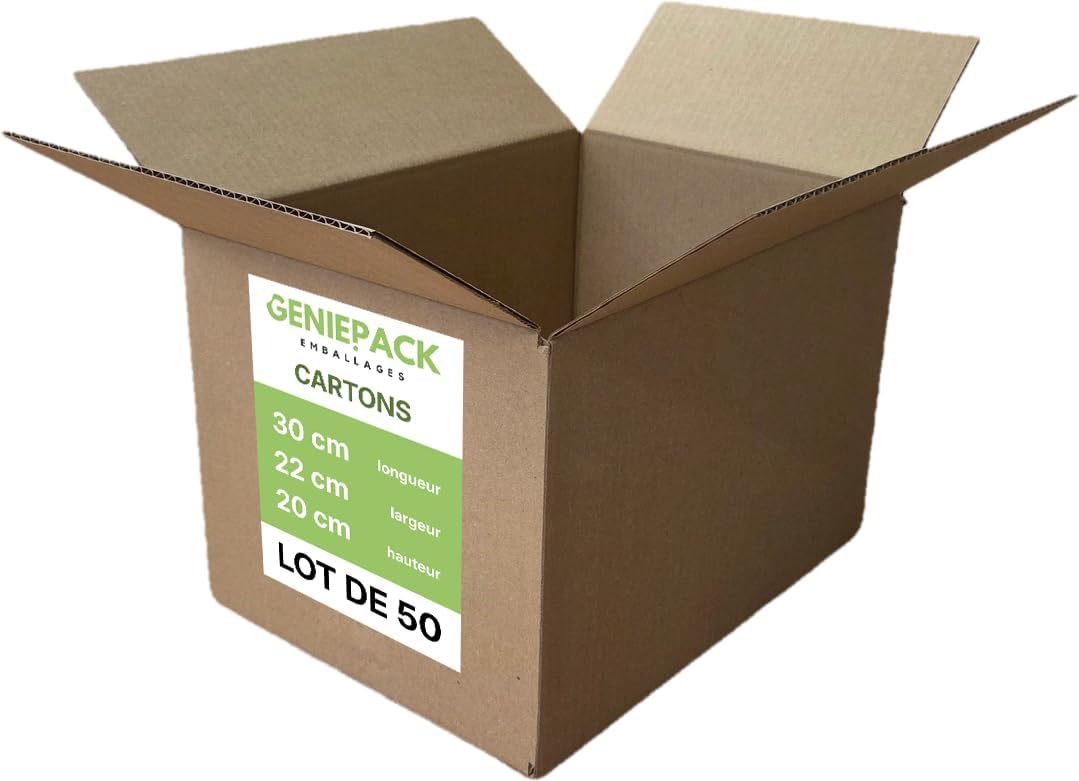 Lot de 50 Cartons d'expédition format 30x22x20cm