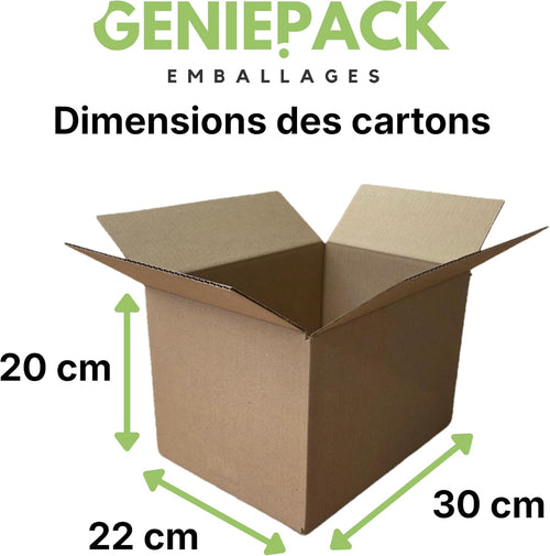 Lot de 100 Cartons d'expédition format 30x22x20cm